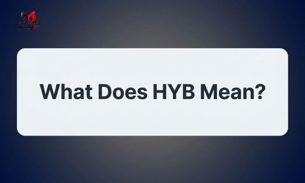 HYB Meaning