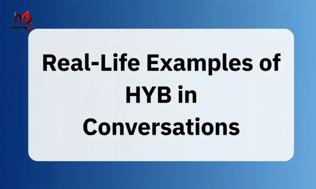 HYB Meaning