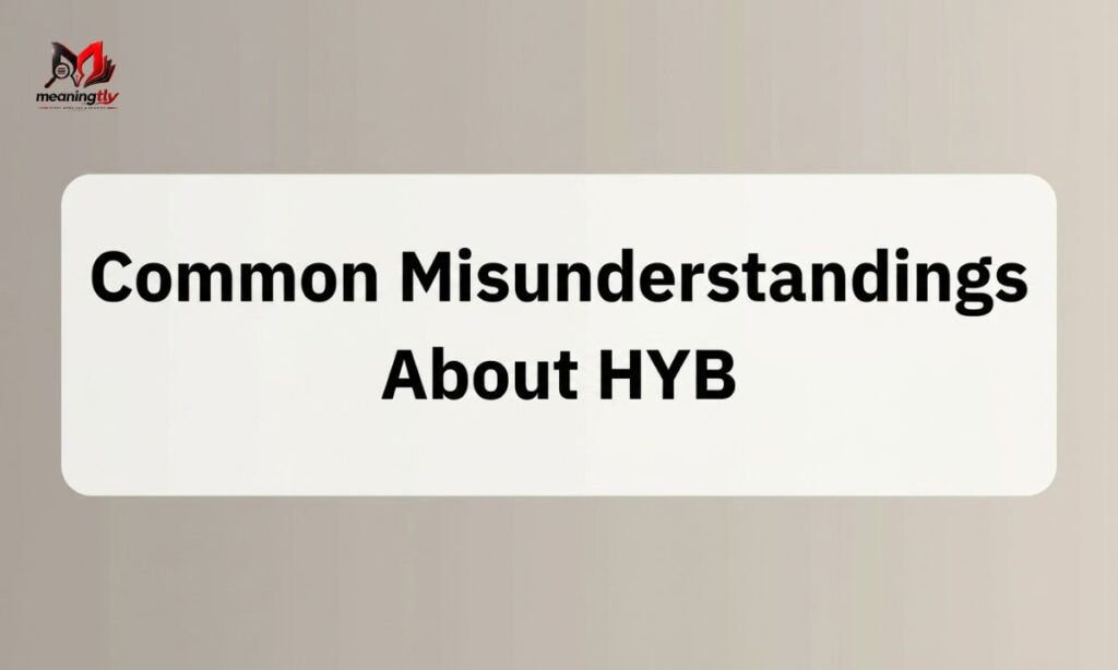HYB Meaning