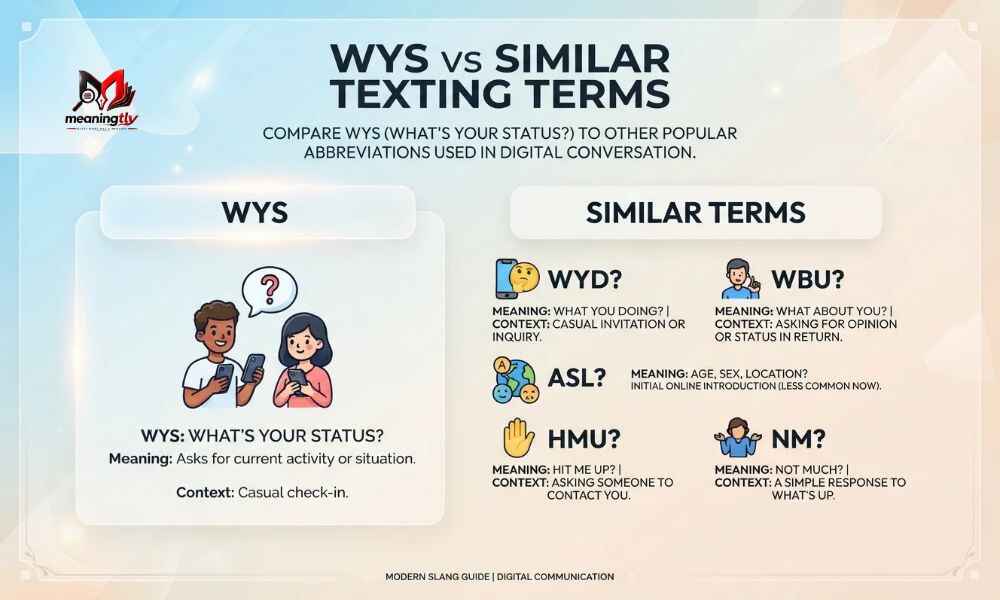 WYS Meaning 