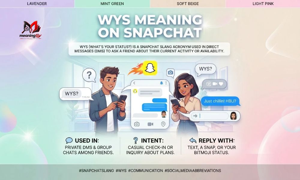 WYS Meaning 
