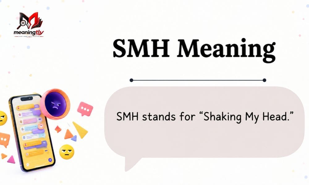 SMH Meaning